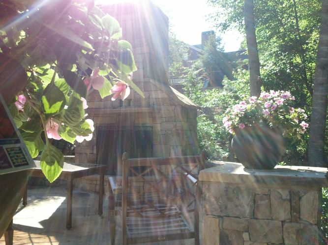 the sun is shining through the trees and flowers