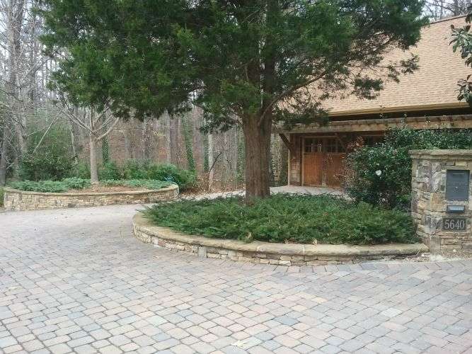 a driveway leading to a house with a tree in the middle