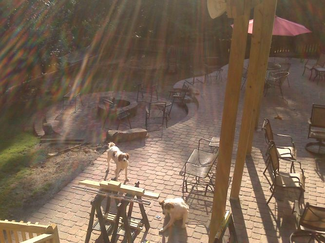two dogs are standing on a wooden bench on a patio .