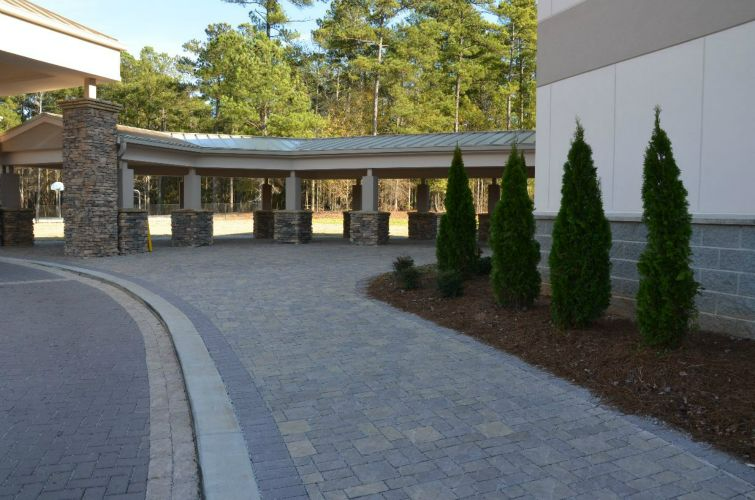 a row of trees are lined up in front of a building