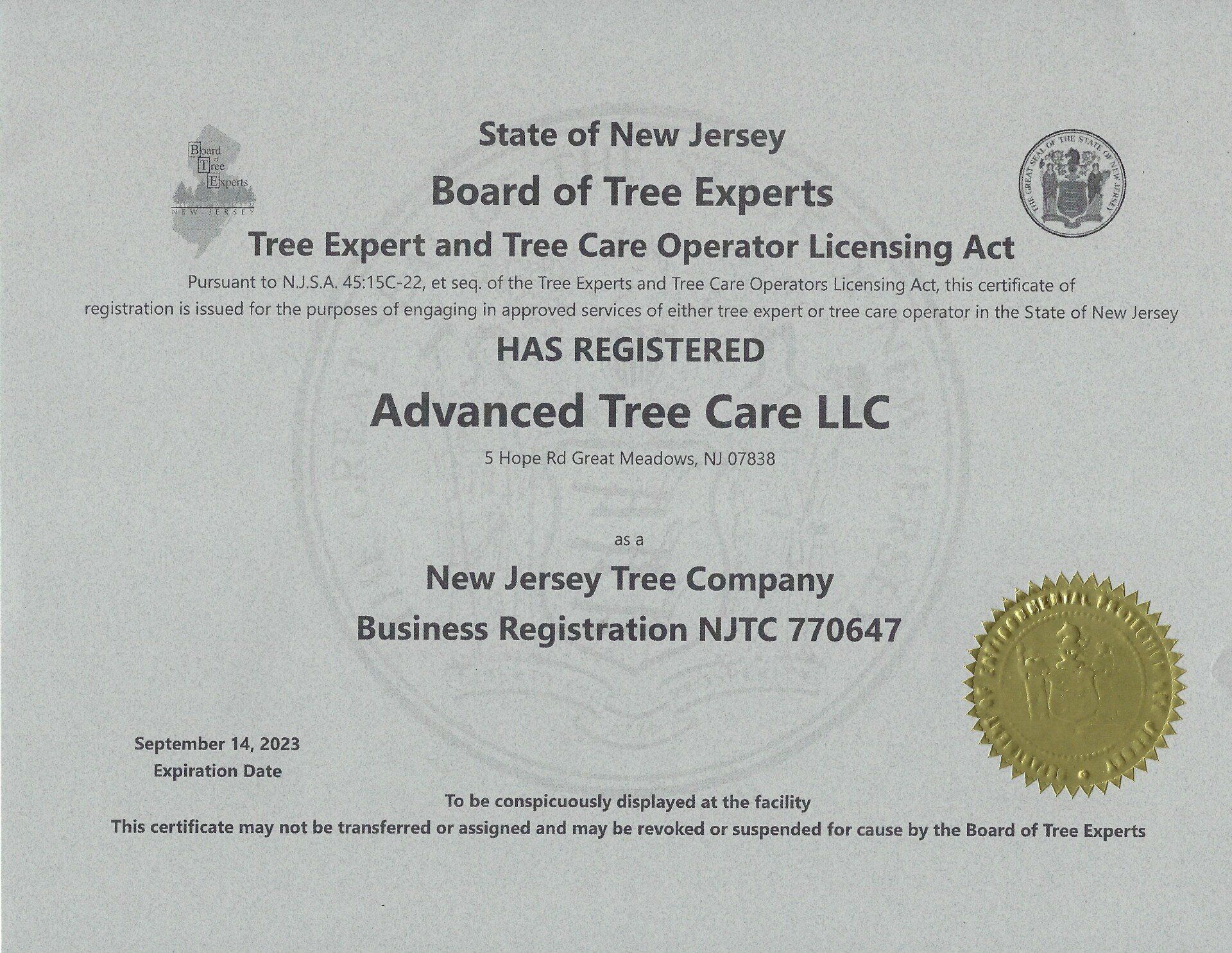 Tree Company Hackettstown, NJ Advanced Tree Care