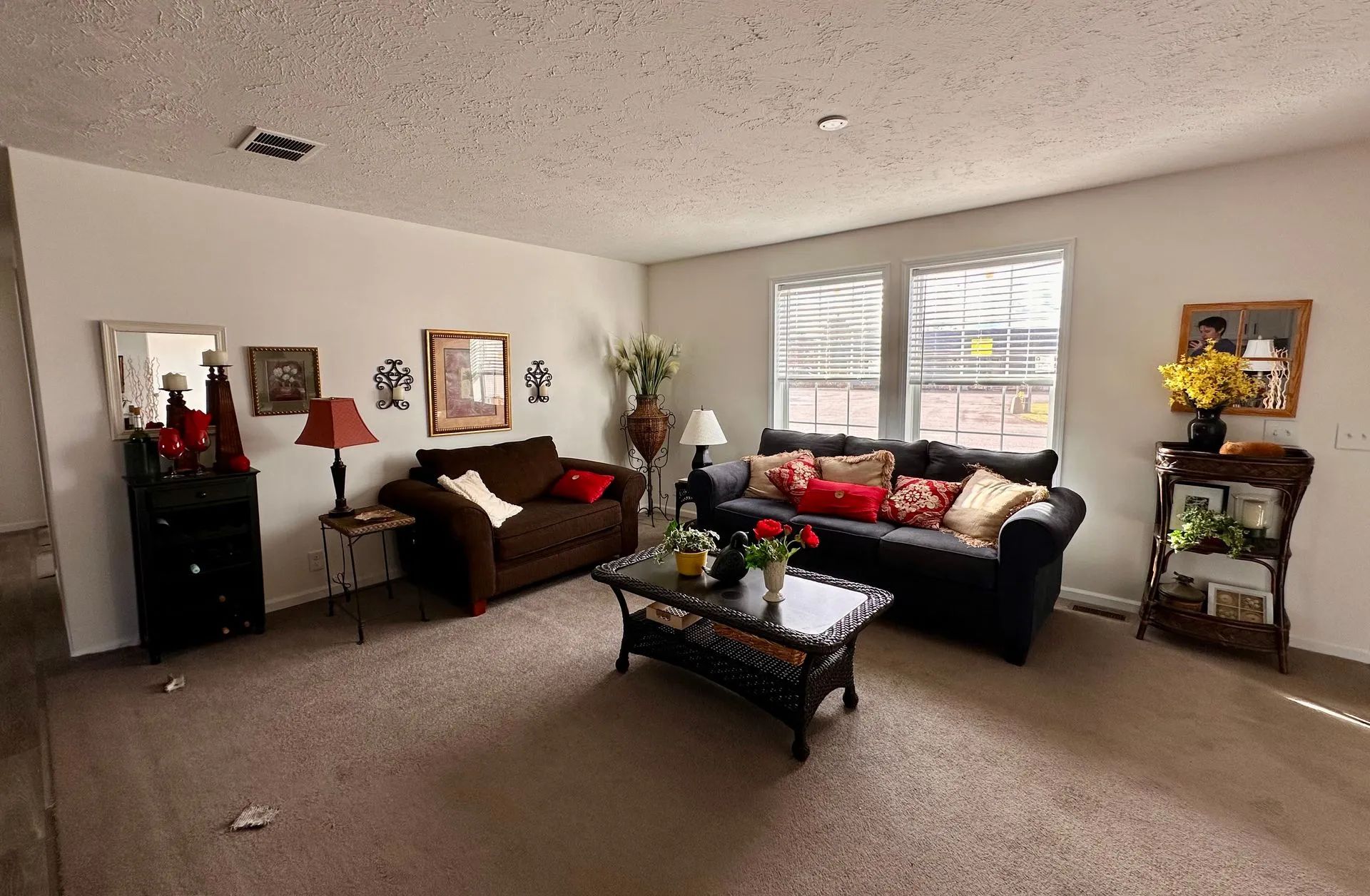 Living room with two sofas, coffee table, plants, and sunlight through a large window