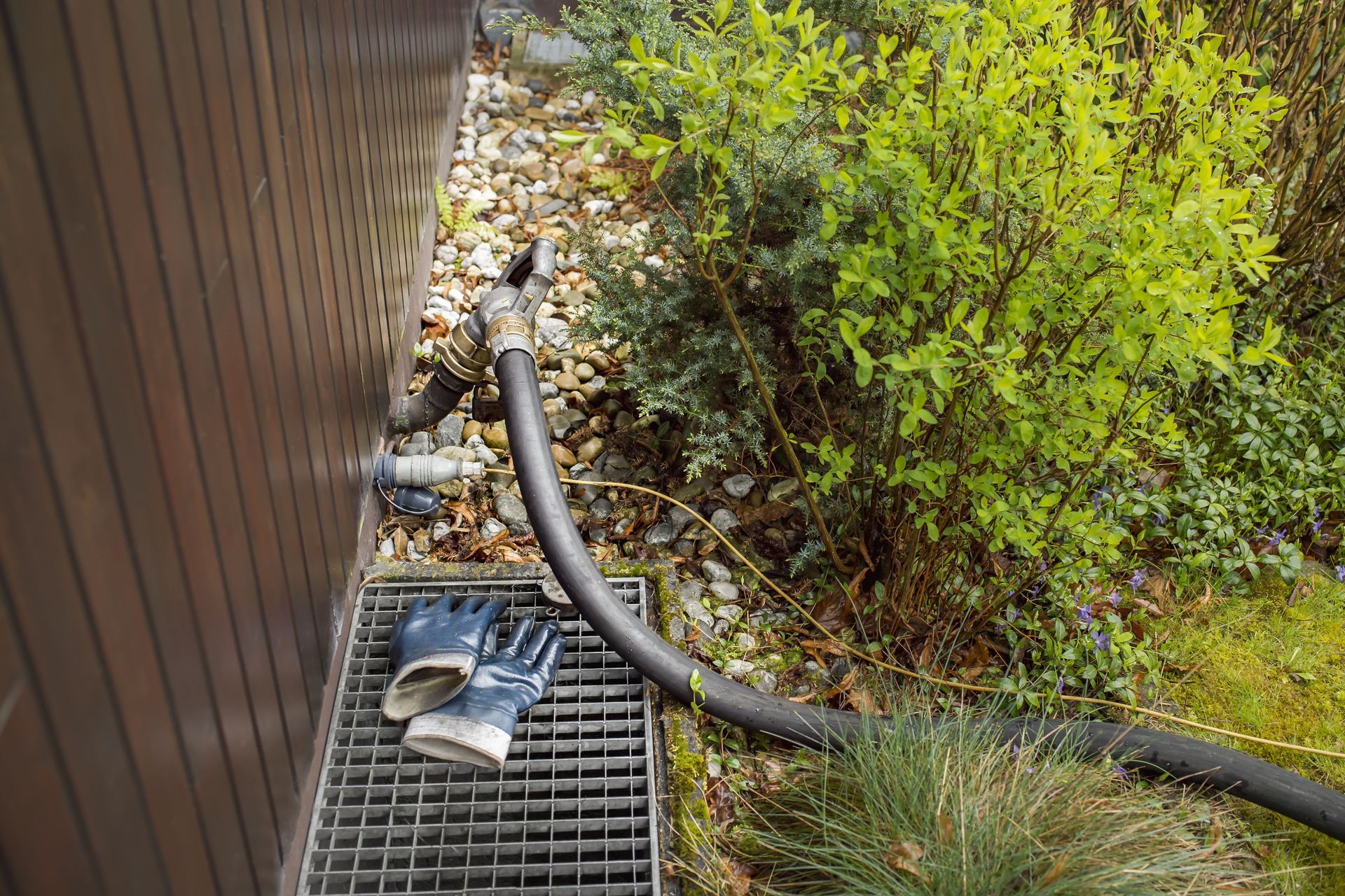 Black cat on a metal grate beside a house, near a hose and shrubs.