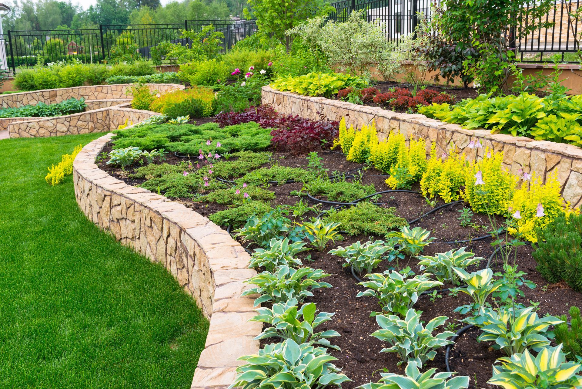Stone-walled tiered garden with various green and colorful plants along green lawn.