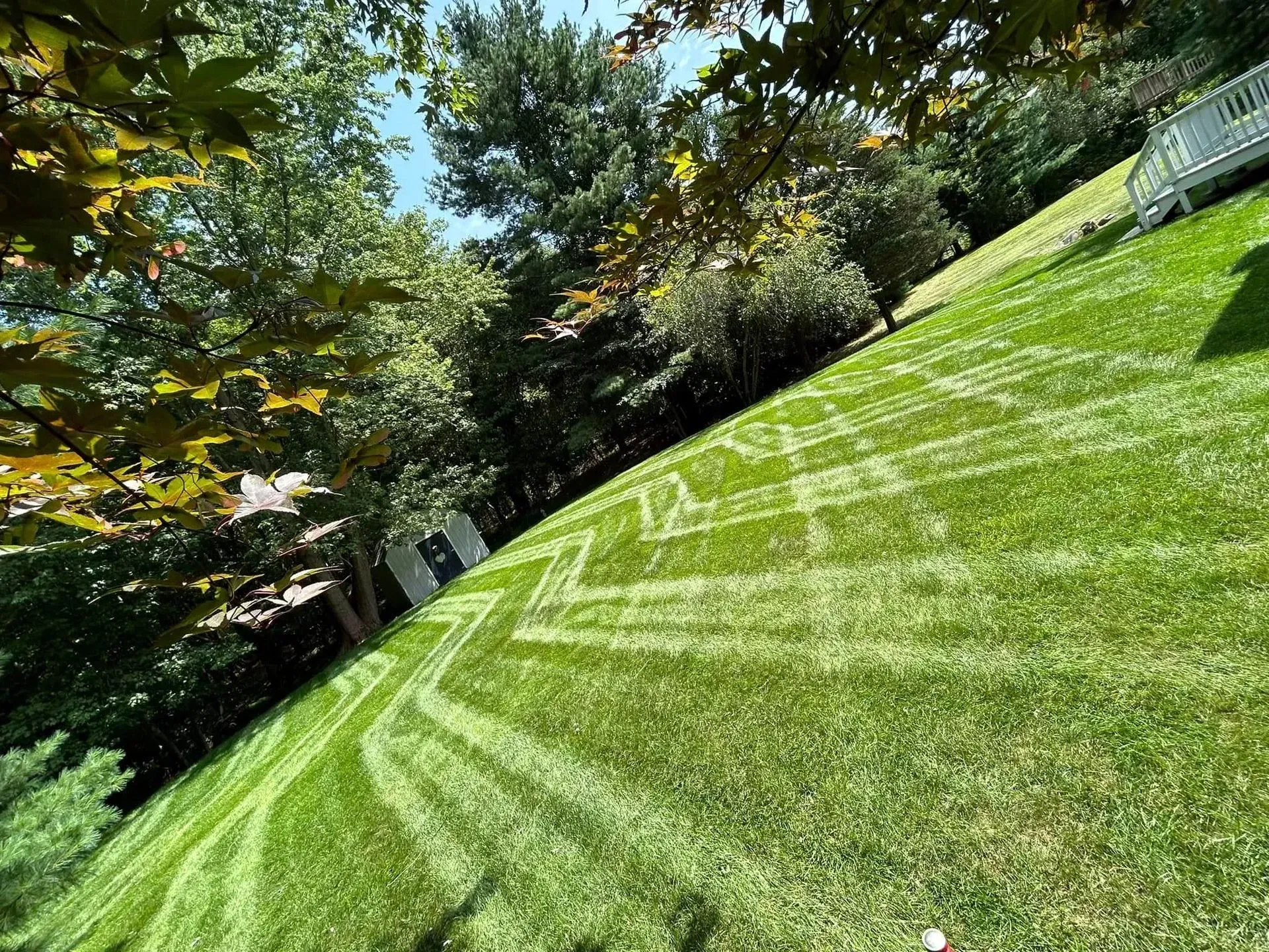 Green lawn with diagonal mower stripes, trees, and blue sky.
