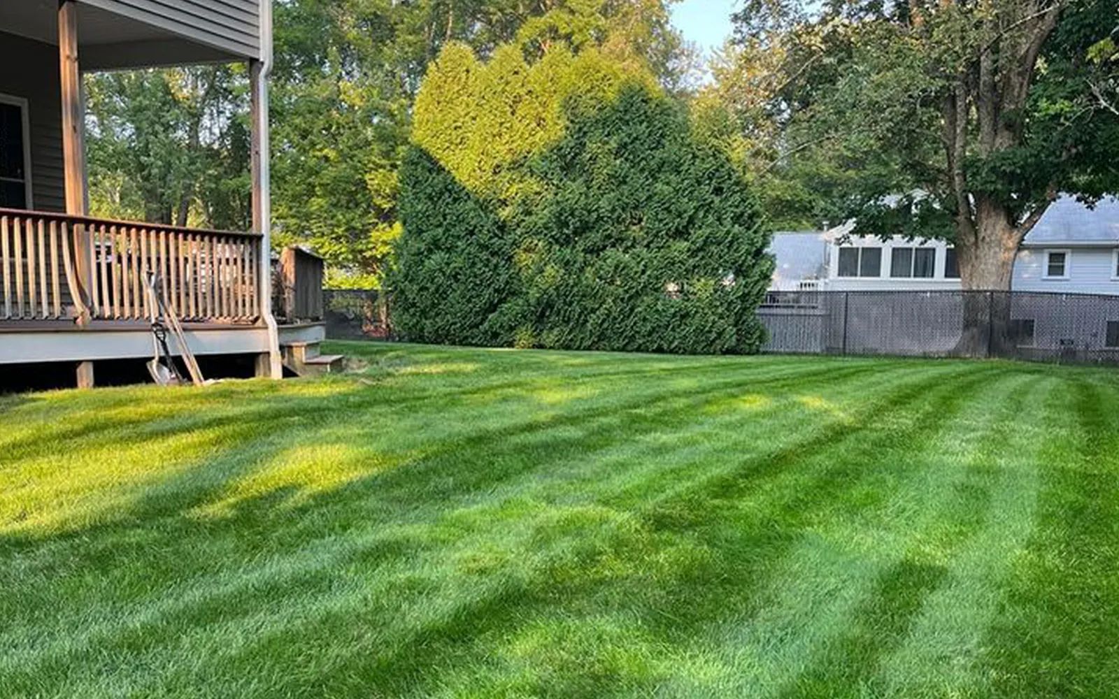 Lush green lawn with mowing stripes, viewed from a porch. Trees and a house in the background.