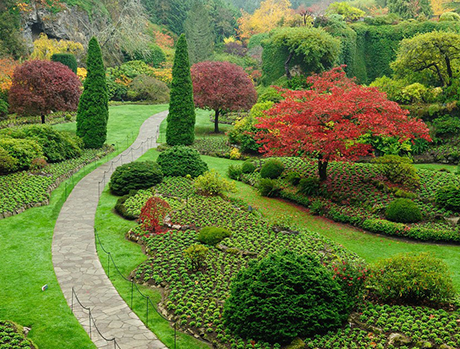 Landscaping services