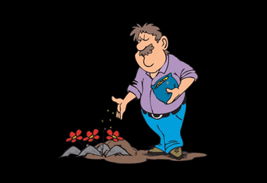 Fertilizer for flowers