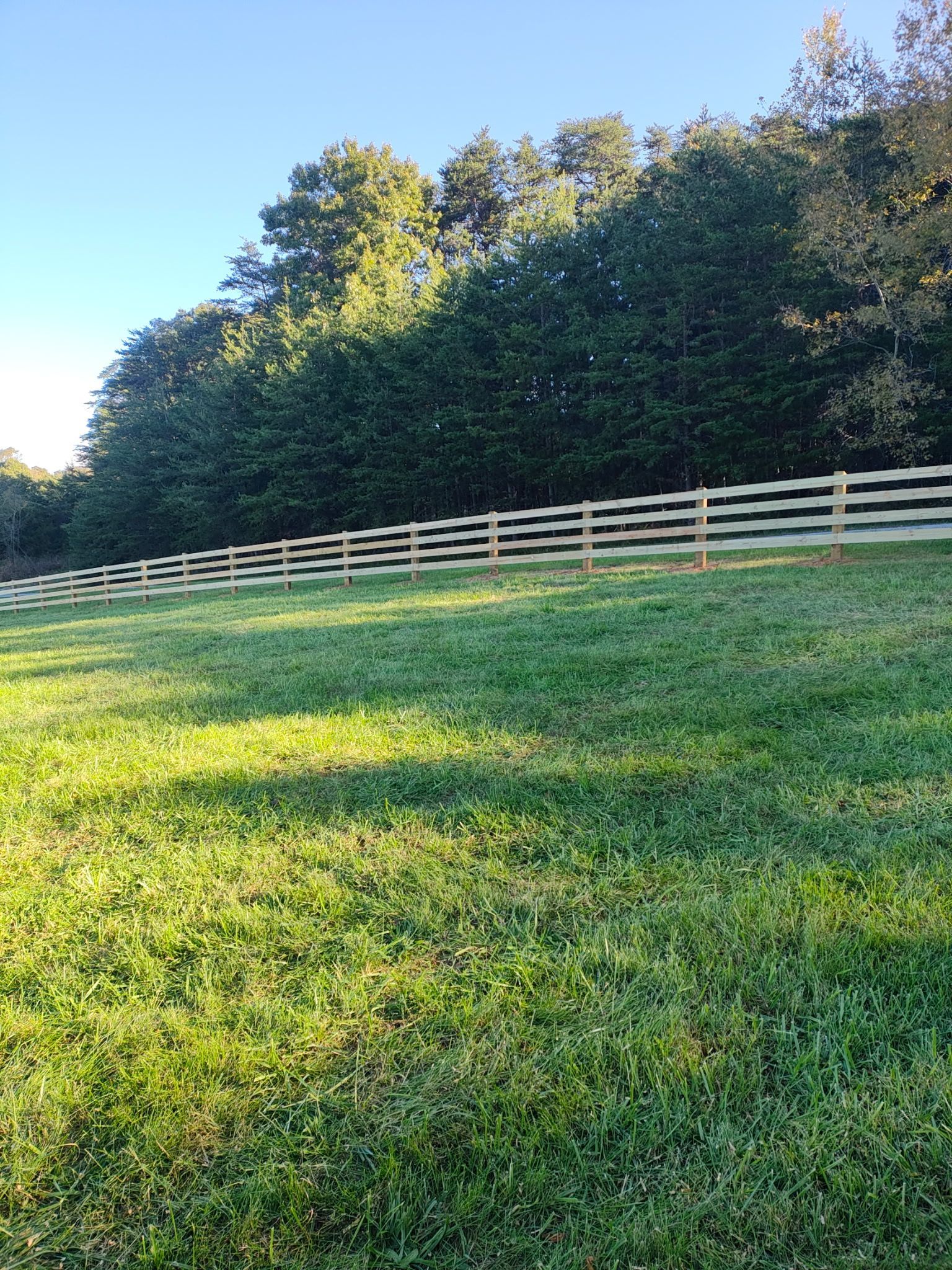 Grassy field beside a white fence and dense trees under a clear blue sky
