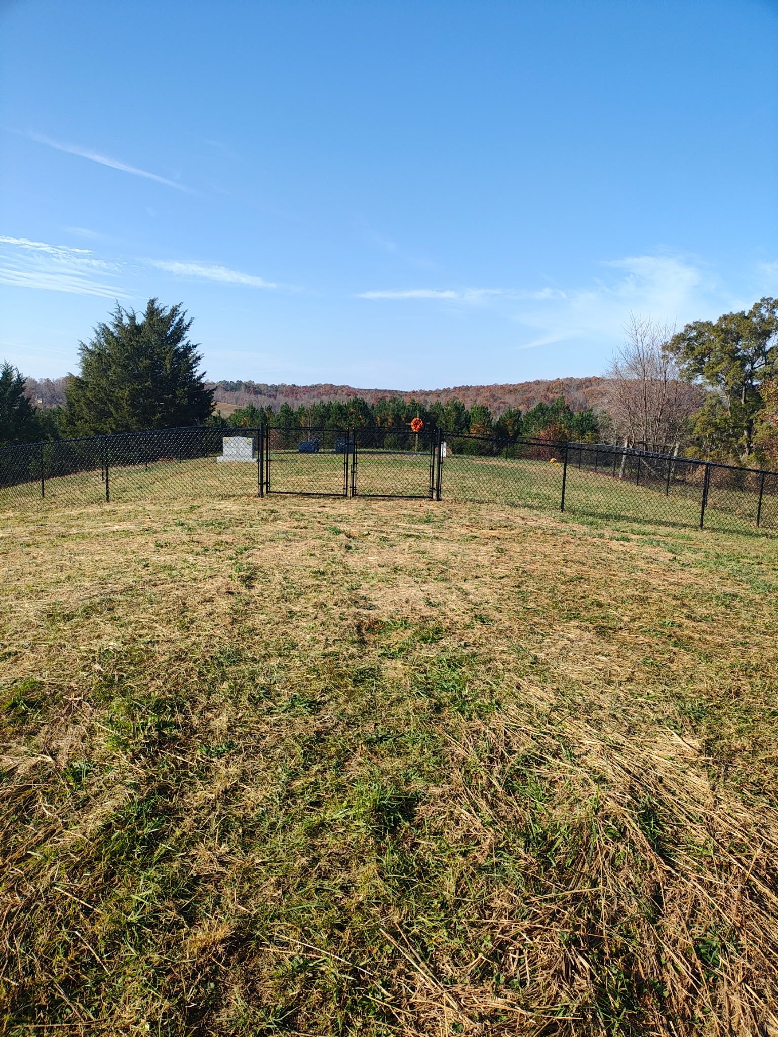 A grassy field with a wooden fence under a blue sky, trees in the background.