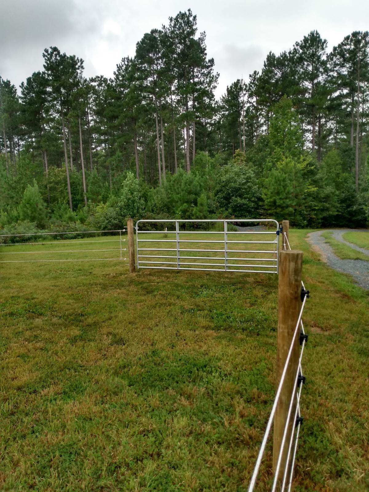 A fence with a gate in the middle of a grassy field with trees in the background.