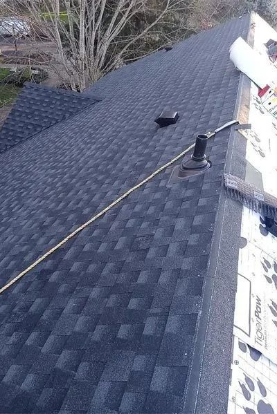 Dark asphalt shingle roof, with a vent and a hose. Sunlight reflects off the surface.