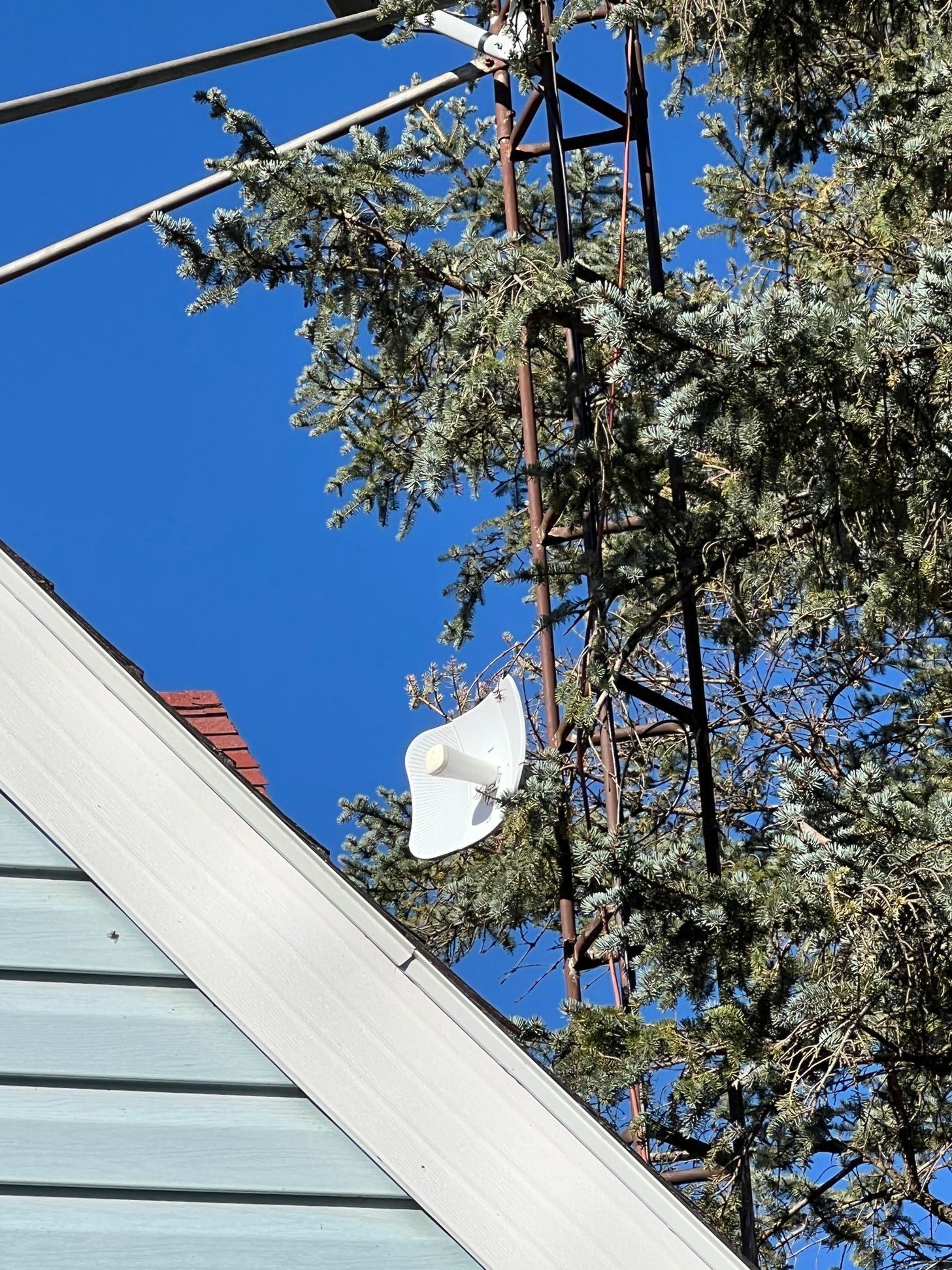 White satellite dish attached to a metal tower, blue sky, house roof and tree branches.