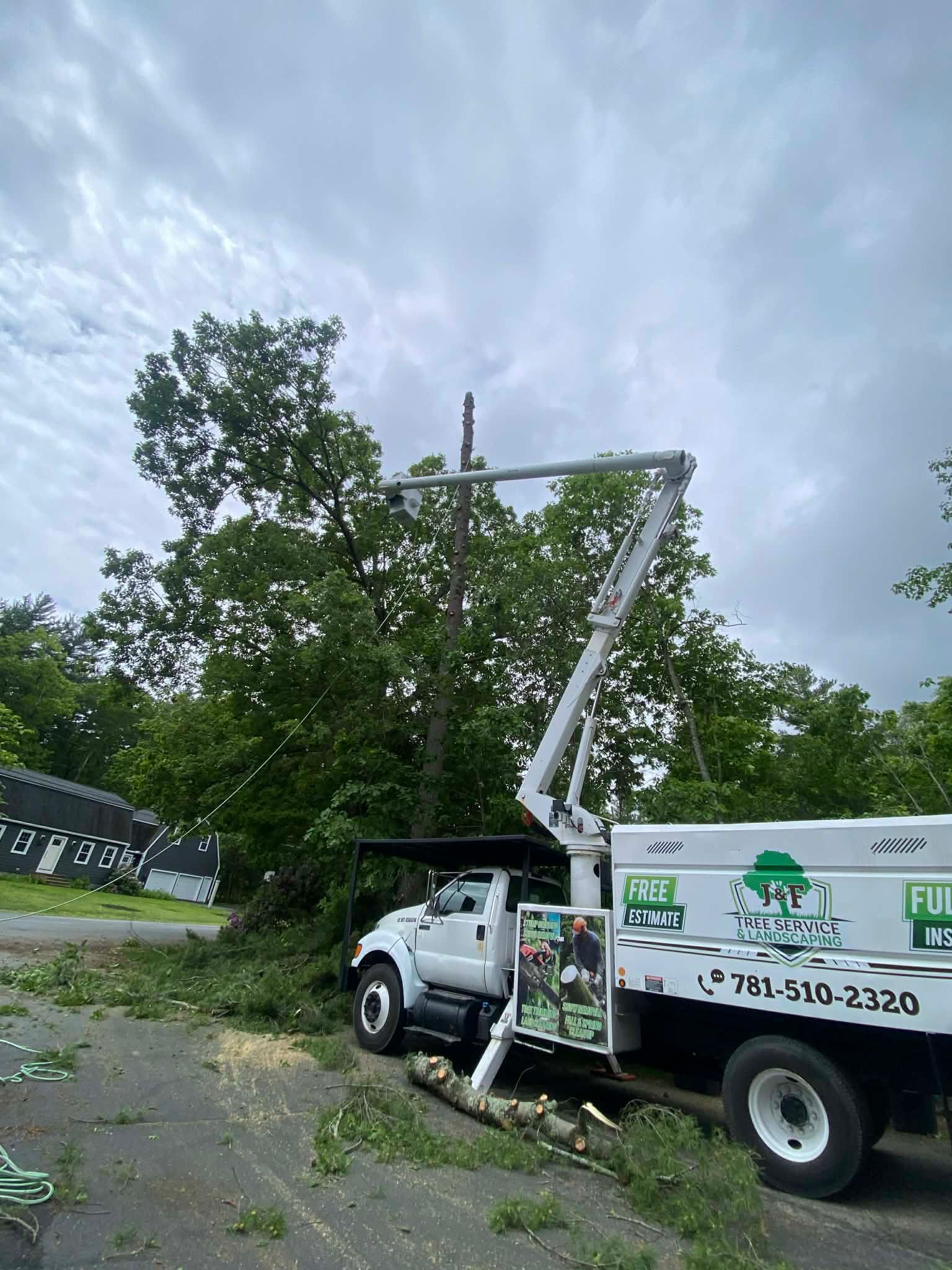 Bucket truck trimming trees beside a road under a cloudy sky