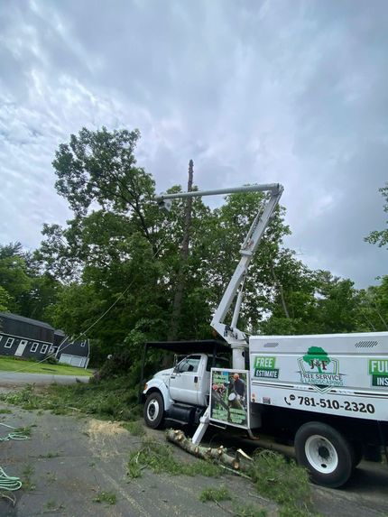 J & F Tree Services & Landscaping