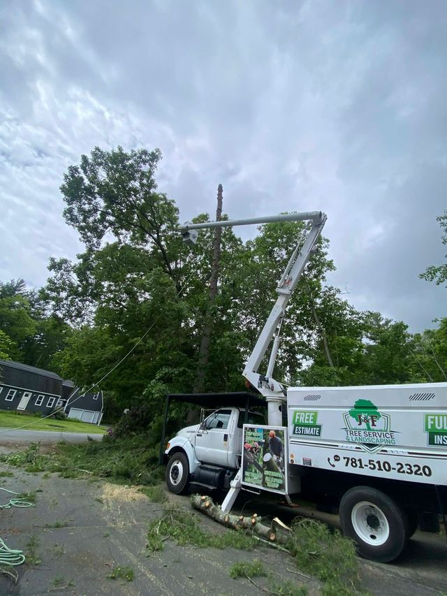 White utility truck with raised bucket boom beside fallen tree branches on a grassy roadside under cloudy sky