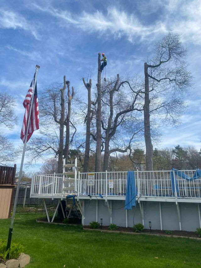 Backyard deck with white railing, bare trees, and a U.S. flag against a blue sky.
