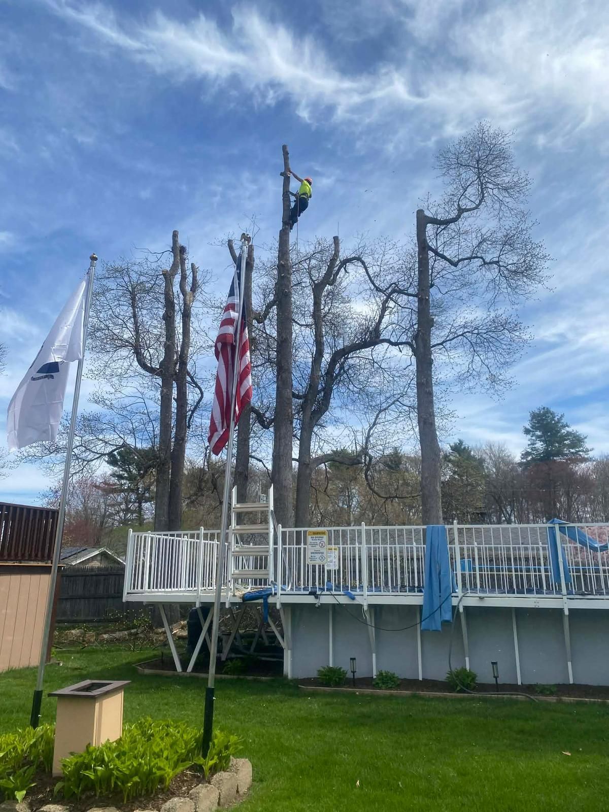 White deck with U.S. flag and two flags on poles among tall leafless trees under a blue sky