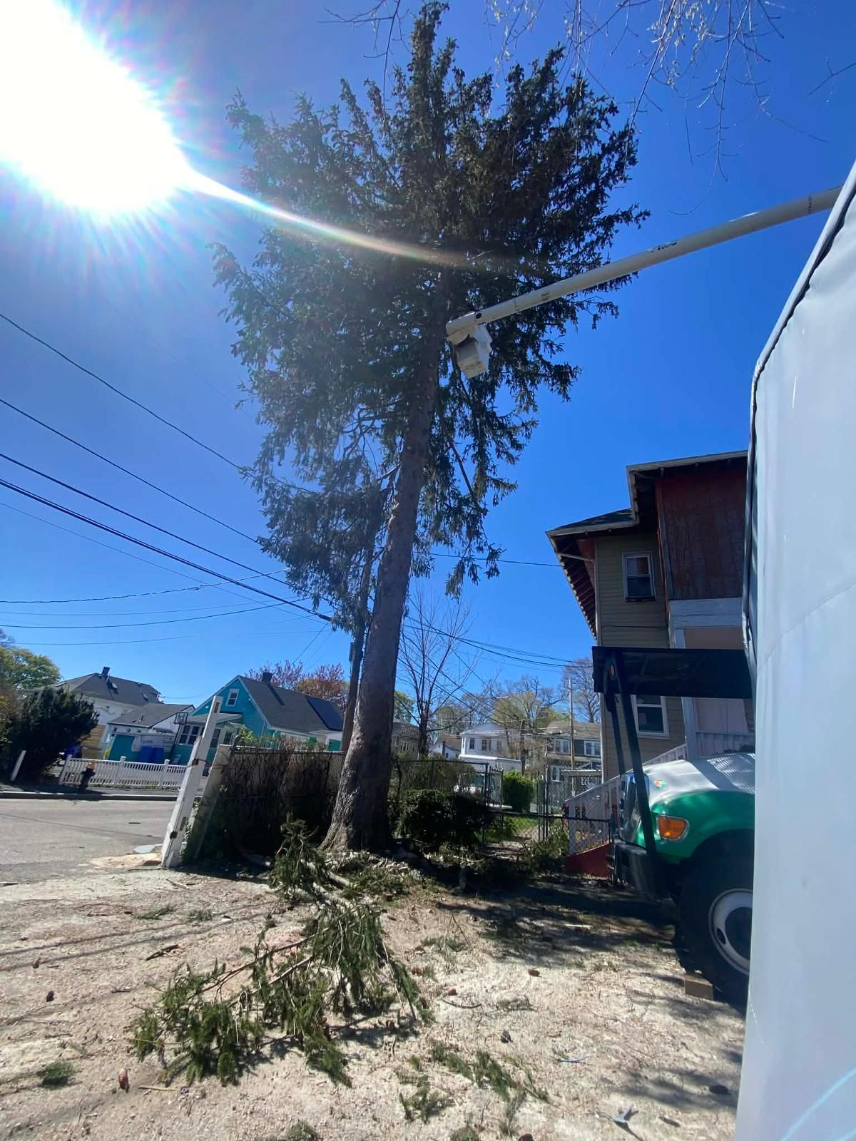 Sunny street view with tall tree, utility lines, and a house beside a dirt road