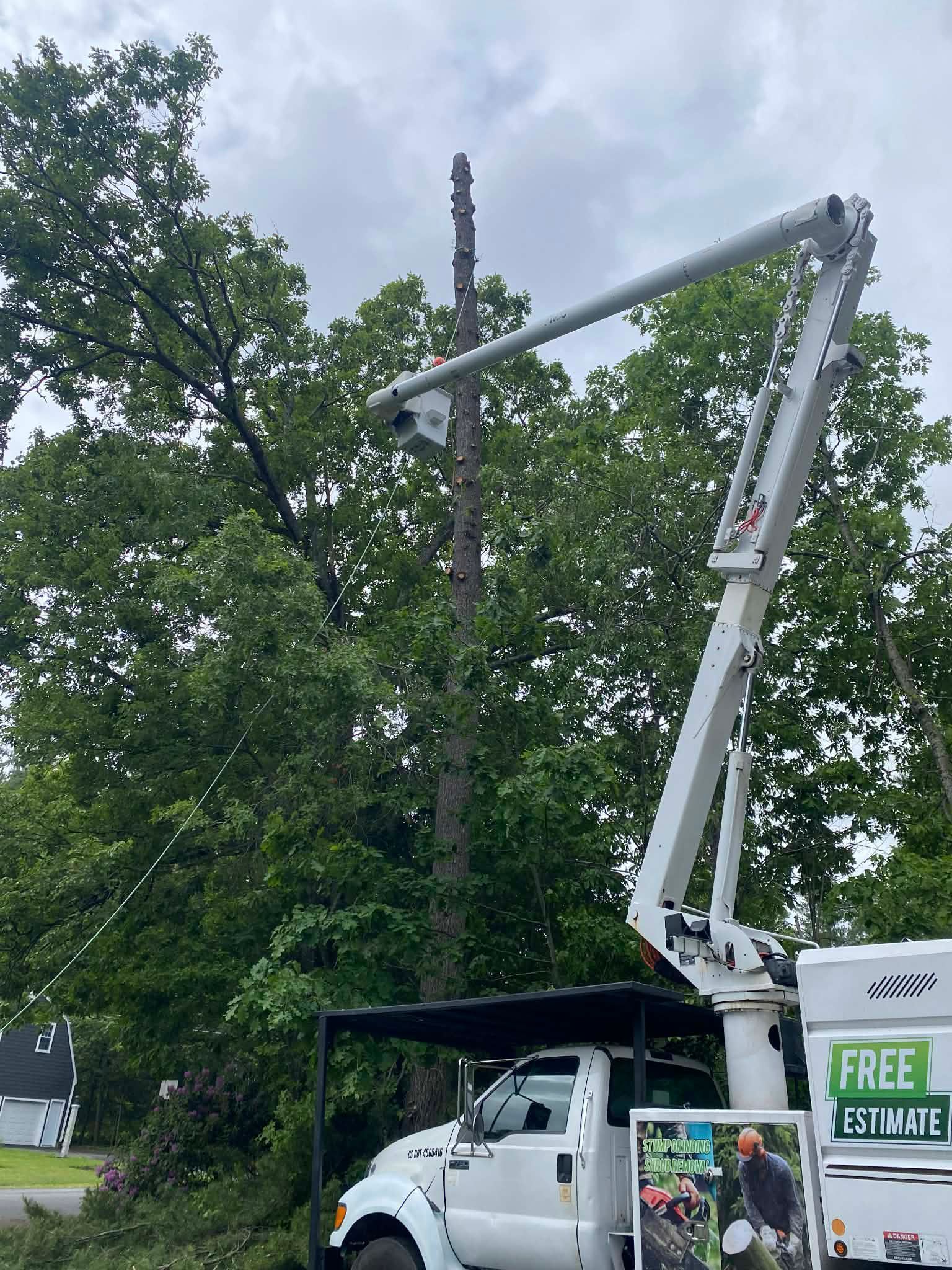 White bucket truck with raised boom parked by trees; green “Free Estimate” sign visible.