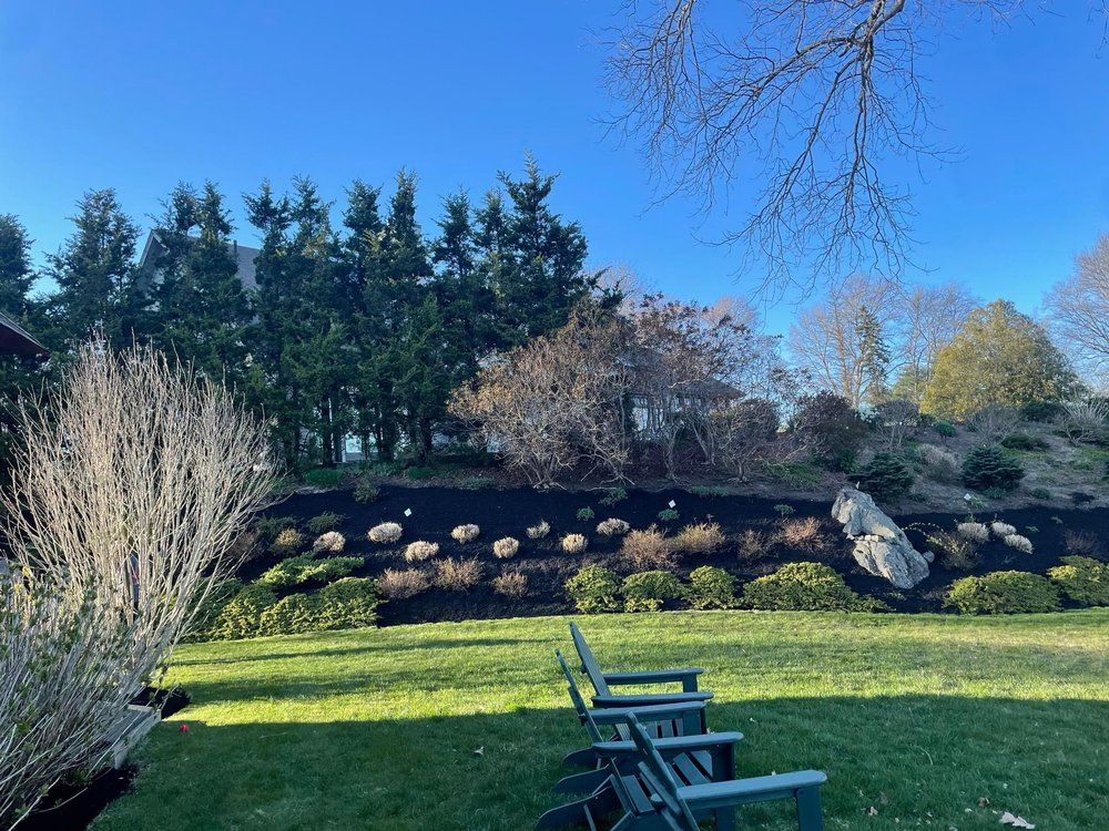 Sunny garden with lounge chairs on a grassy lawn, shrubs, rocks, and tall trees under a clear blue sky
