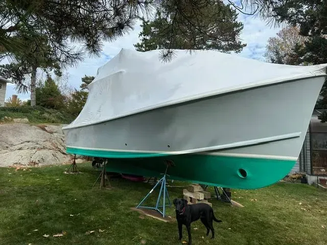 Boat on stands, covered with white tarp, green hull, black dog stands in front on grass.
