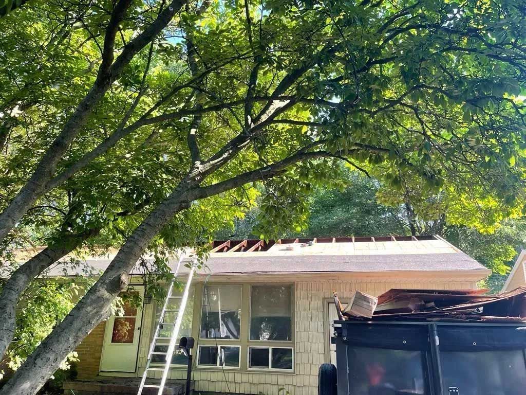 House with partially removed roof, ladder, and trees. A dumpster sits beside the house.