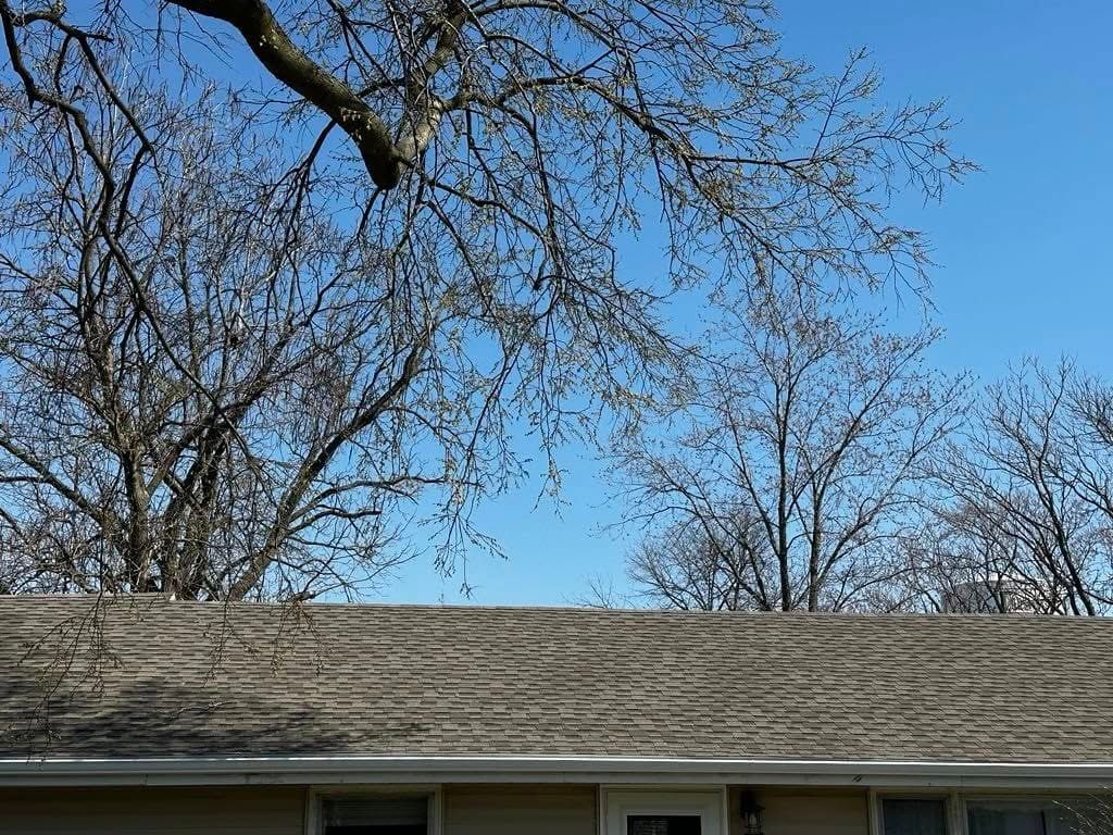 Bare trees against a bright blue sky above a gray roof of a house.