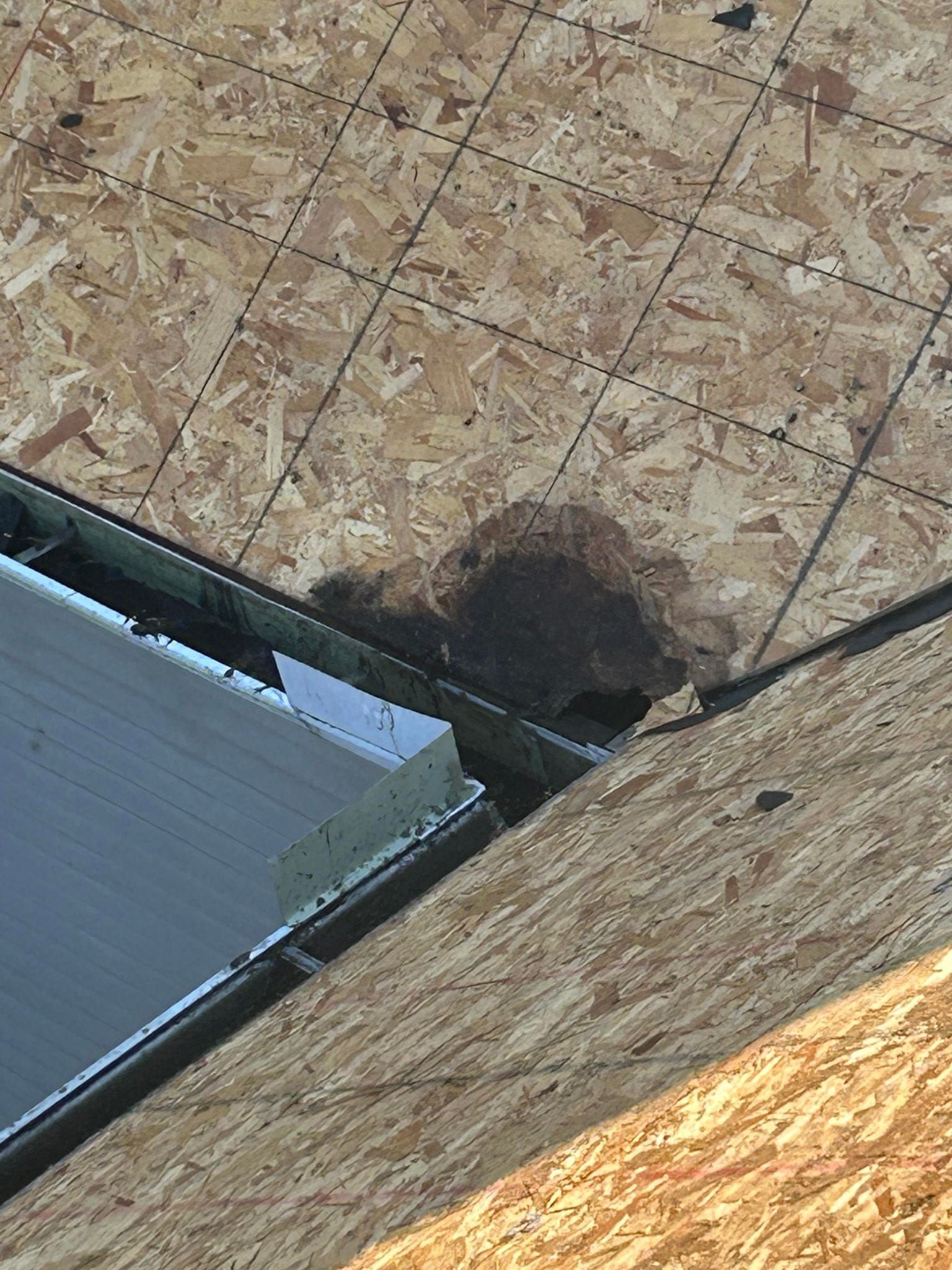 Brown stain on the roof, near a metal flashing. OSB sheathing is visible.