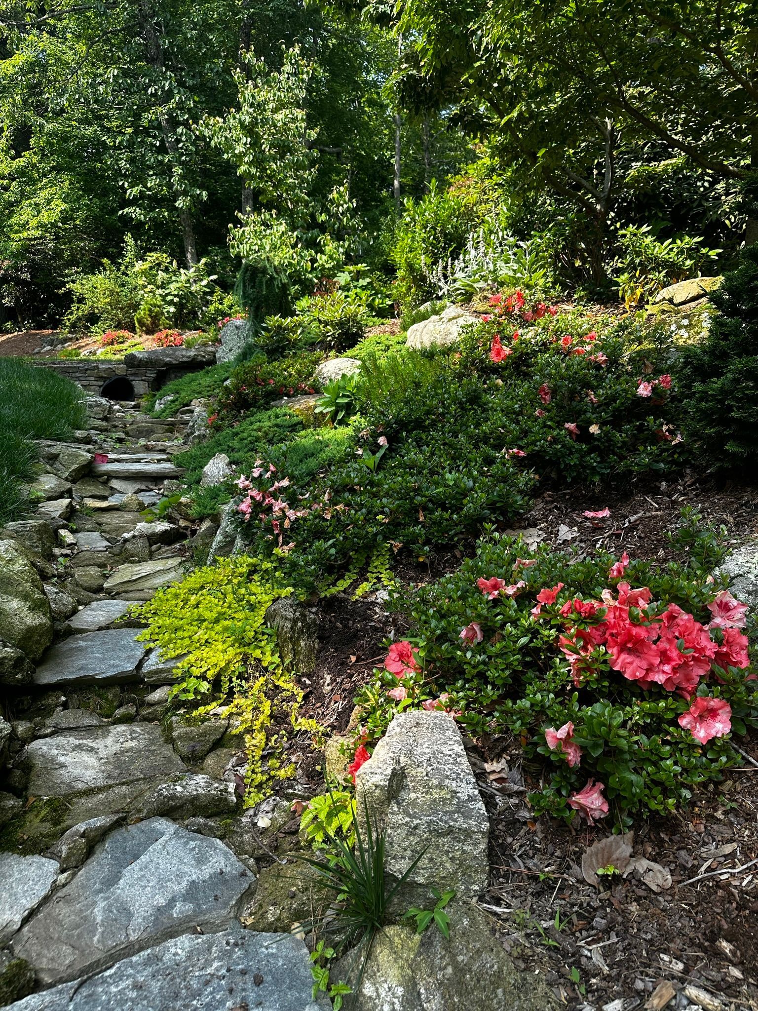 A stone path surrounded by flowers and trees in a garden.