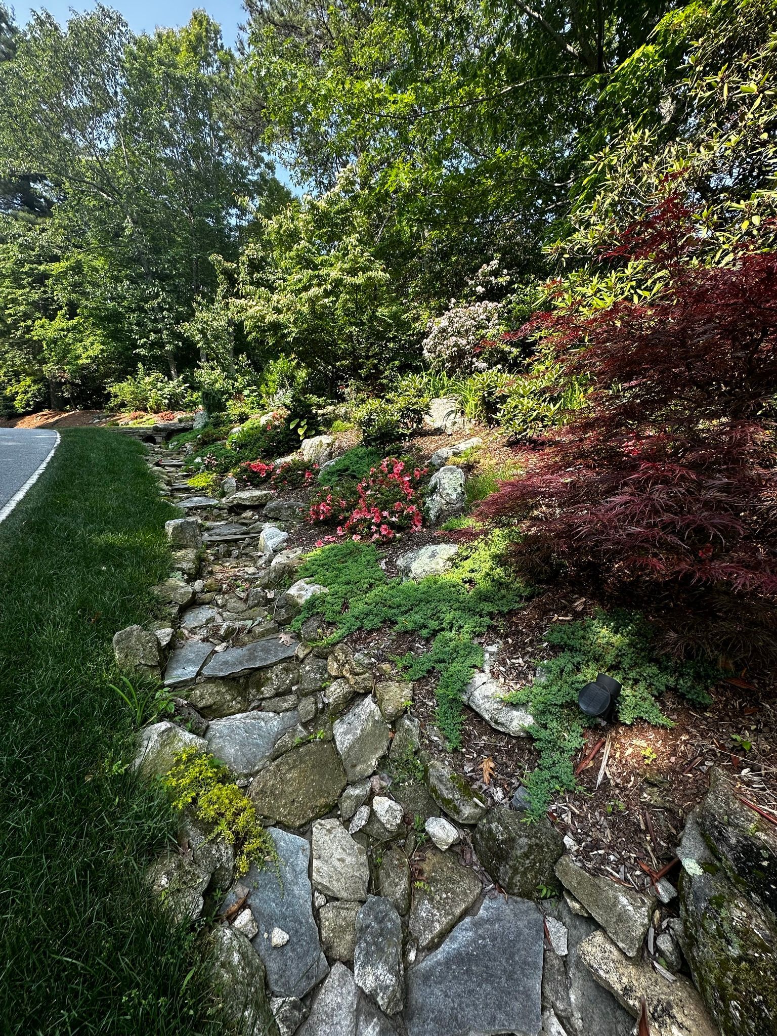 There is a rock wall in the middle of the garden.