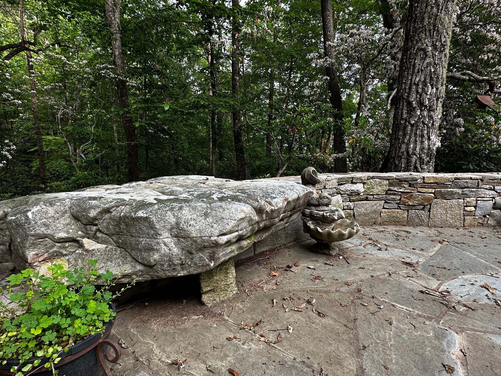 A stone bench in the middle of a forest with trees in the background.