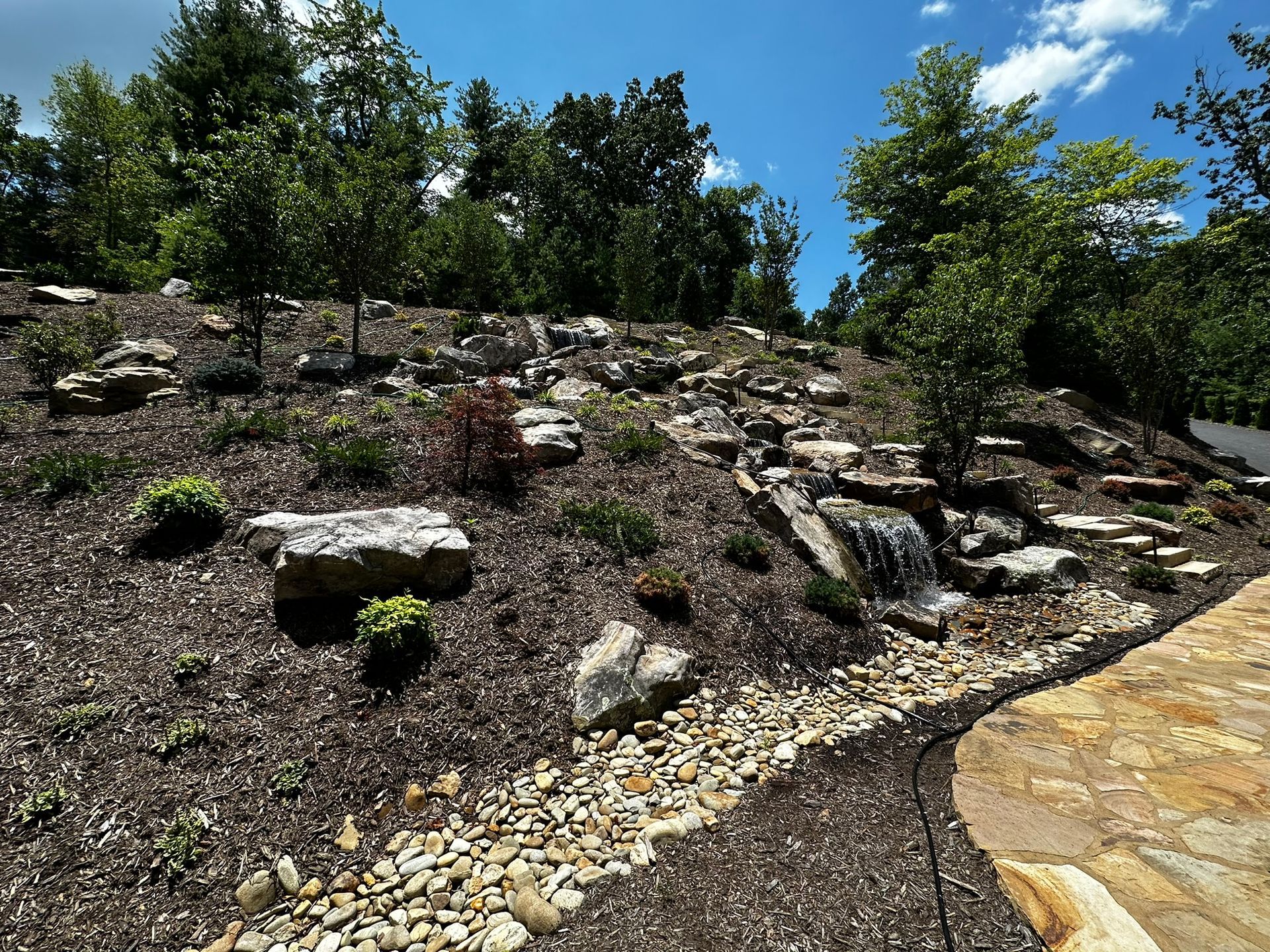 A stream runs through a rocky hillside with trees in the background.