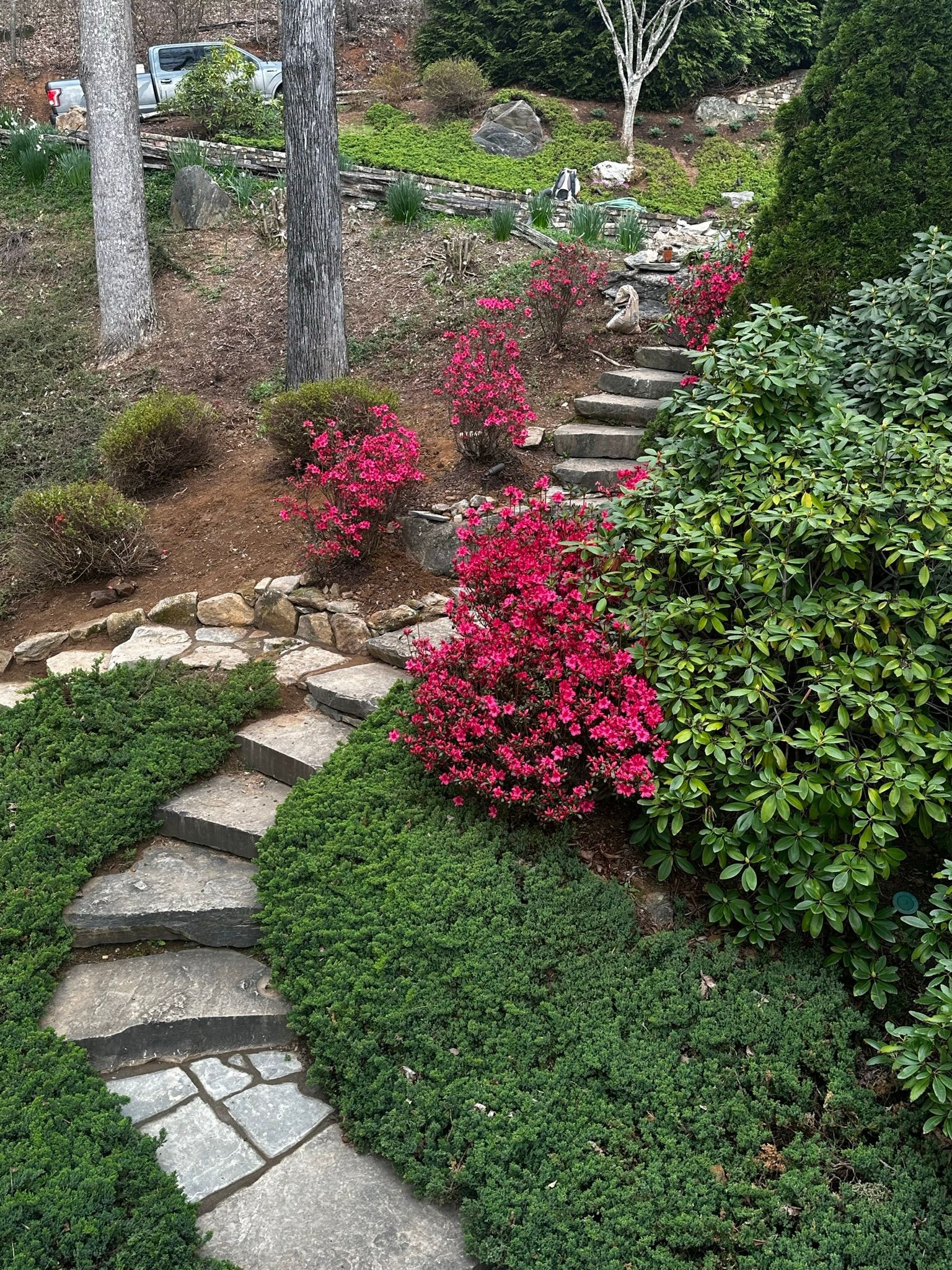 A stone walkway leading up to a set of stairs in a garden.