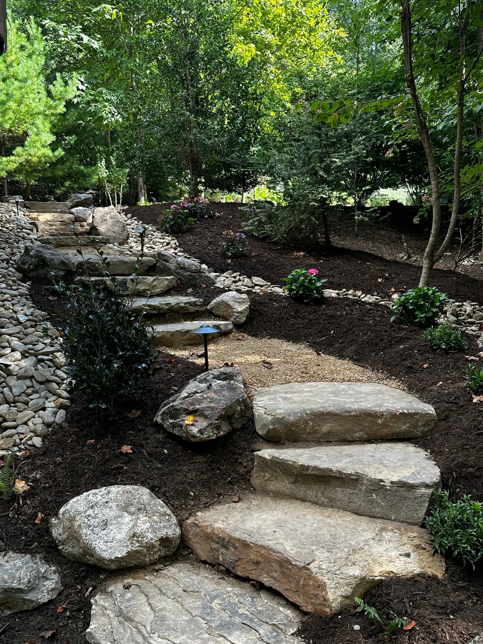 A stone walkway in the middle of a forest surrounded by trees and rocks.
