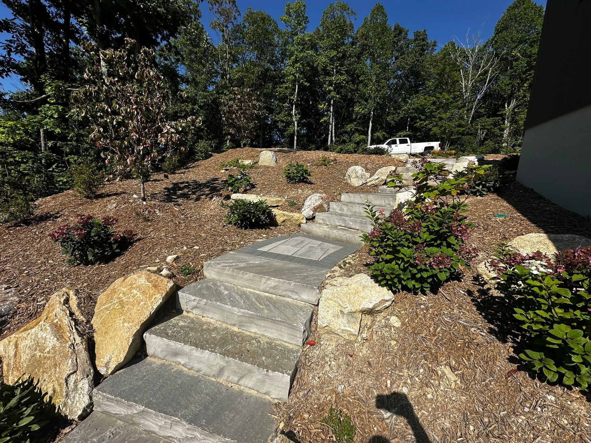 A set of stairs leading up to a house in a garden.