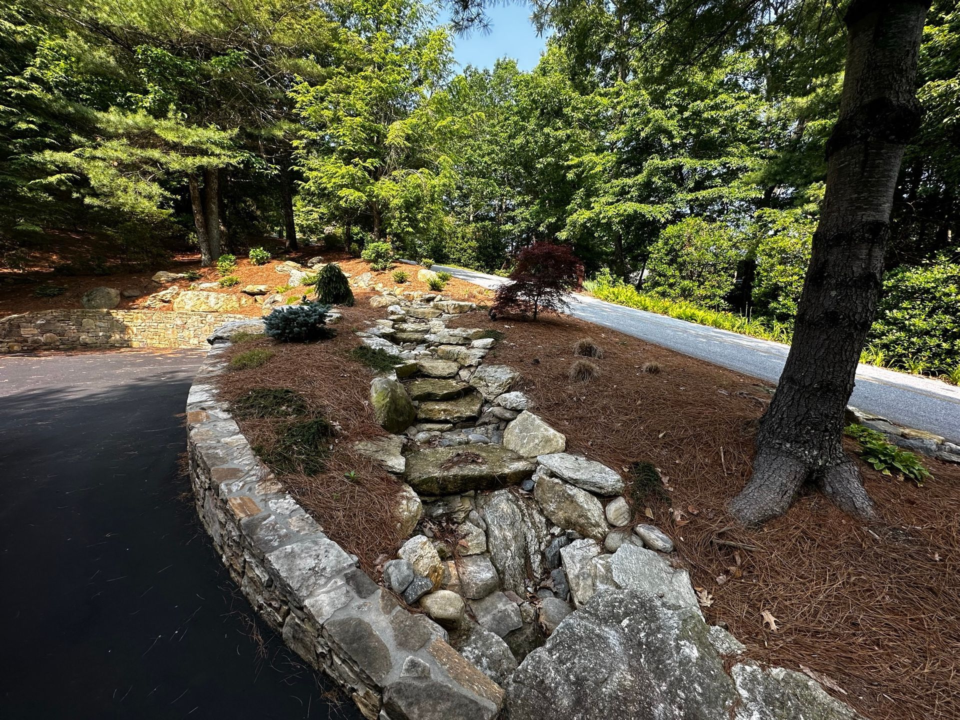 A stone wall surrounds a stream in the middle of a forest.