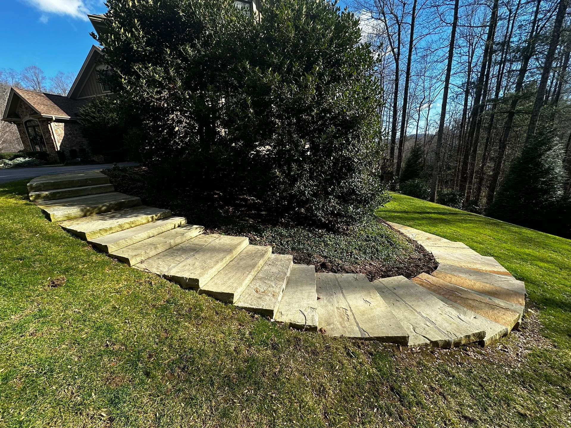 A set of stairs leading up to a house with a tree in the middle.