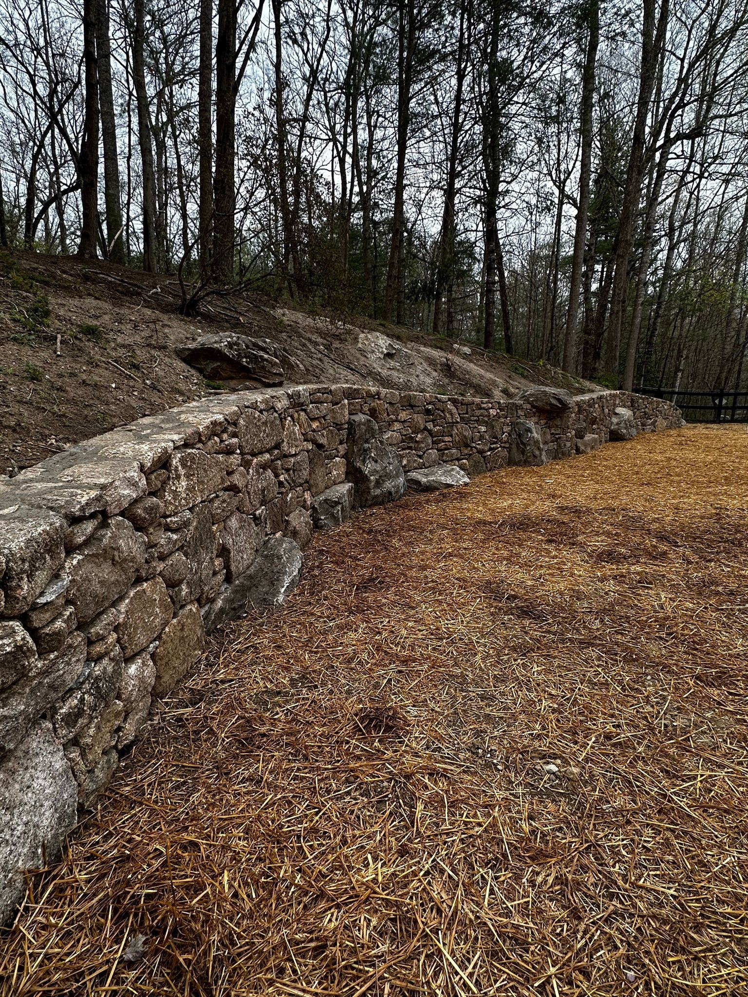 A pile of wood chips is sitting next to a stone wall in the woods.