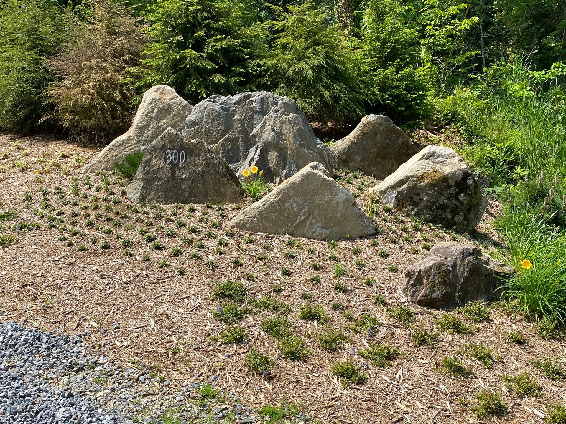A group of rocks sitting on top of a pile of gravel in a garden.