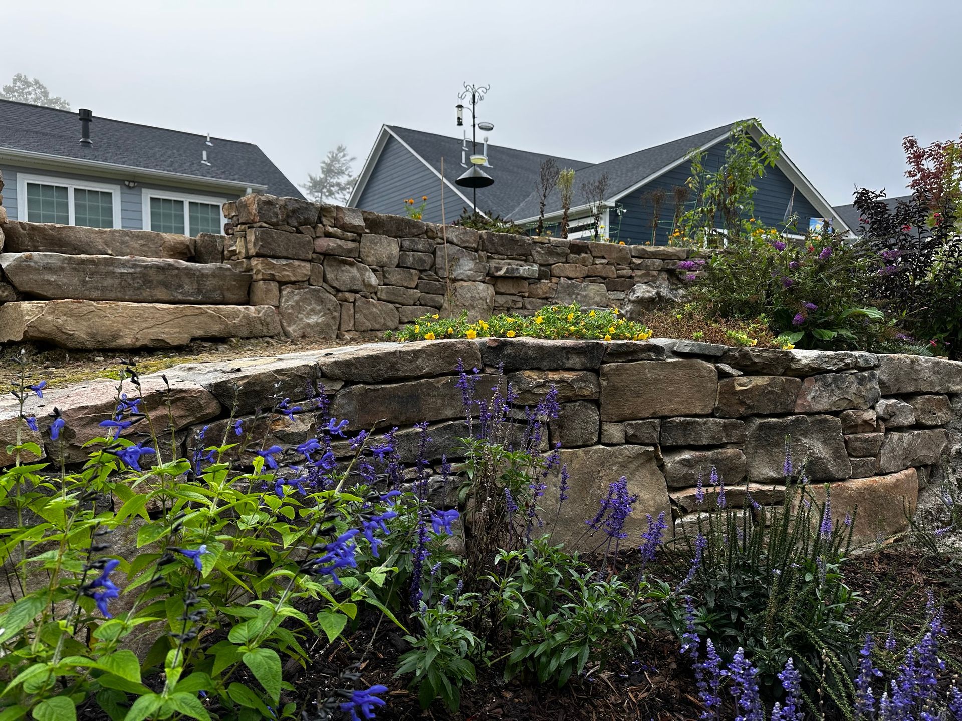 A stone wall with purple flowers in front of a house.