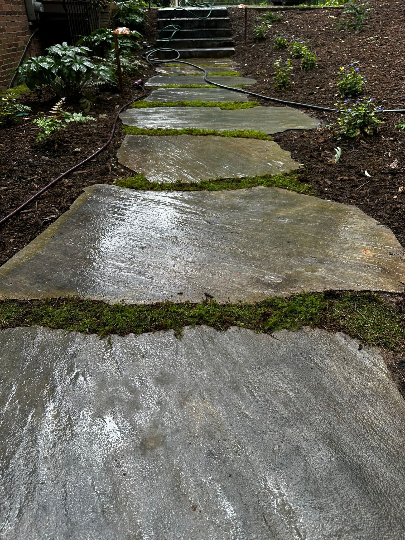 A stone walkway leading to stairs in a garden.
