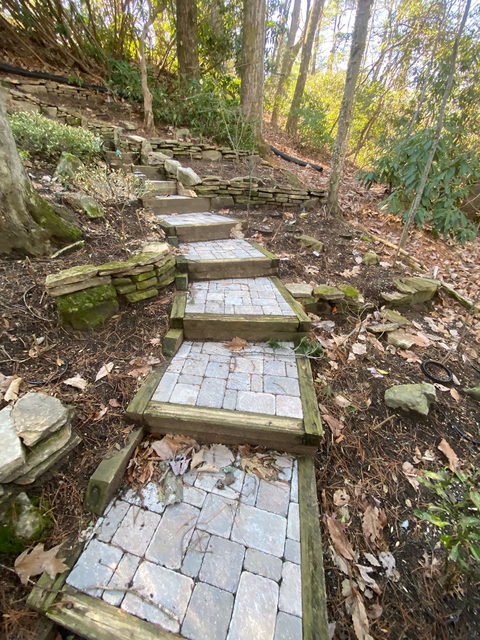 A set of stairs leading up a hill in the woods.