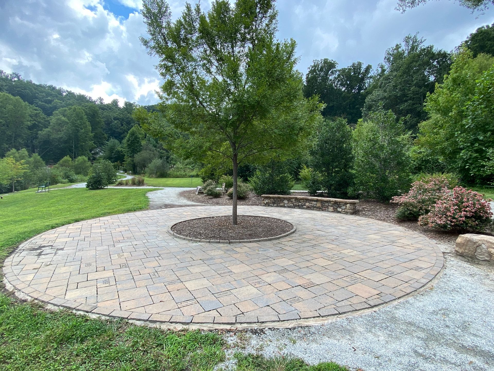A tree is in the middle of a circular patio in a park.