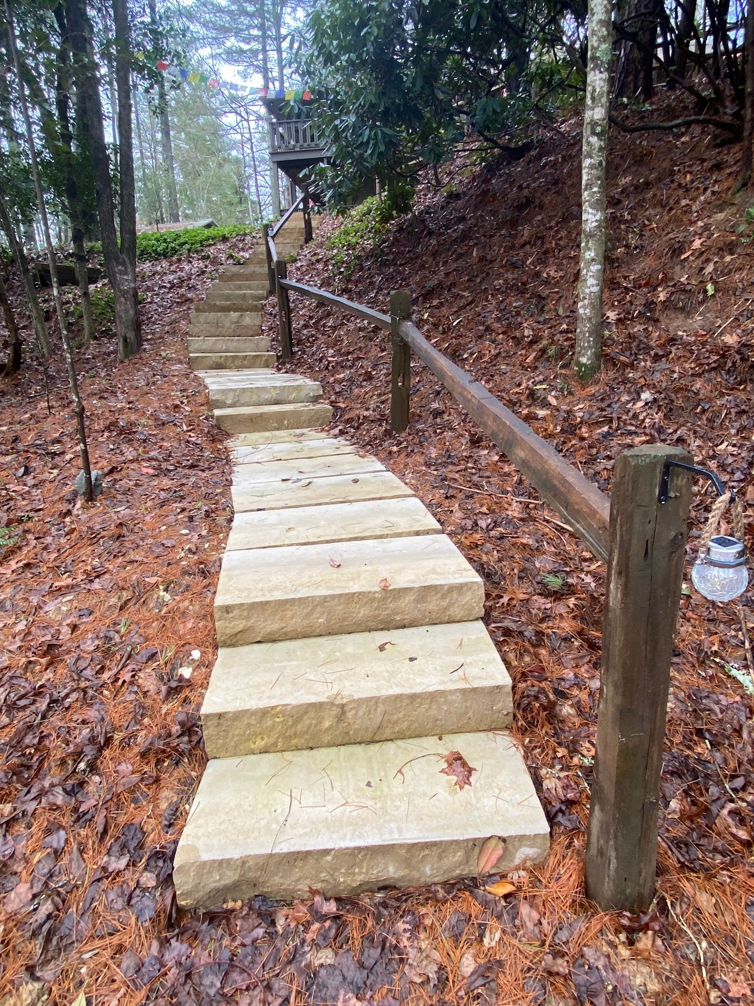 A set of stairs leading up to a house in the woods.