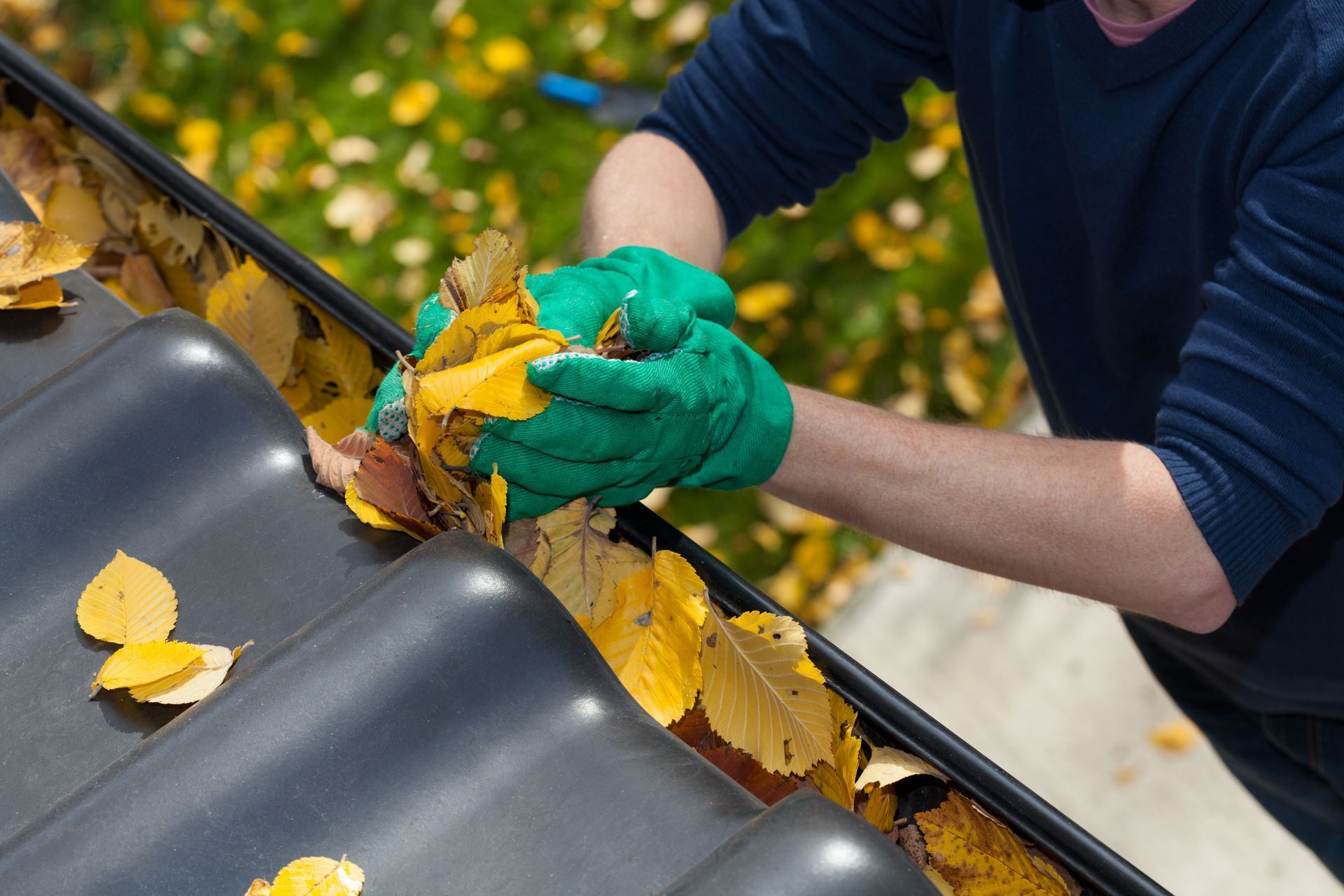 Person wearing green gloves cleaning autumn leaves from a black gutter.