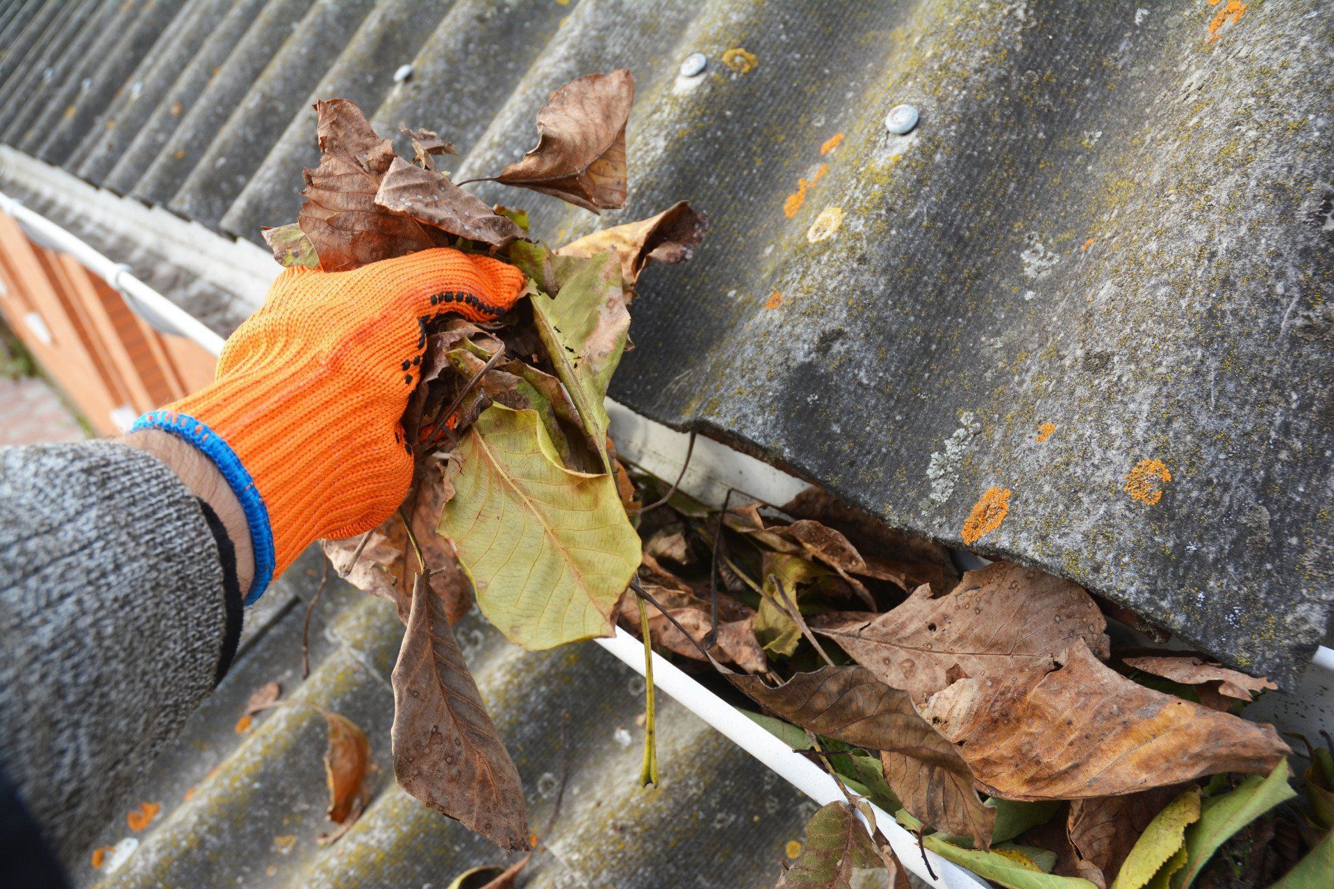 Person wearing orange glove cleaning a gutter filled with dry leaves on a gray roof.