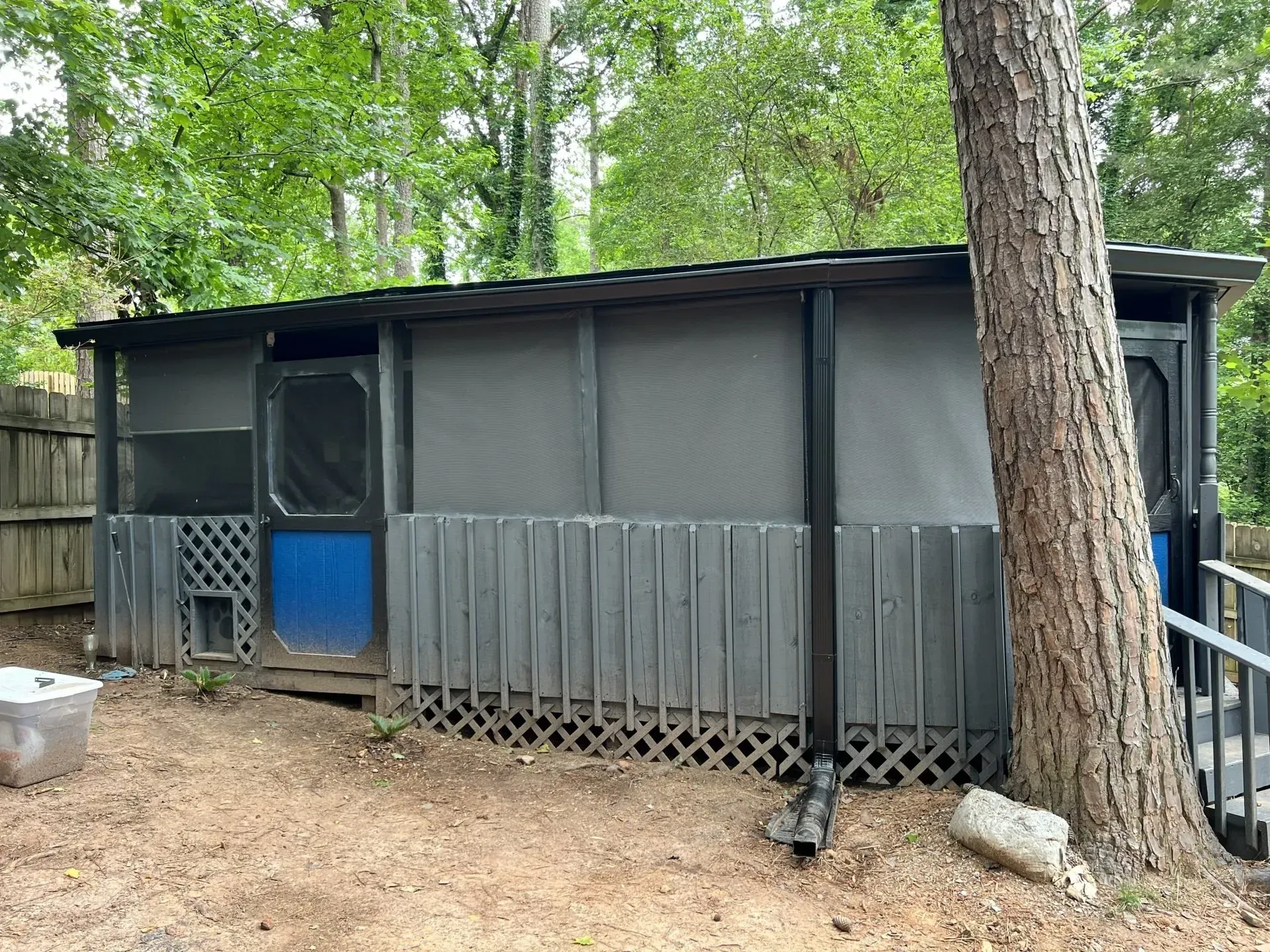 Gray shed with screen panels, blue door, and a tree next to it.