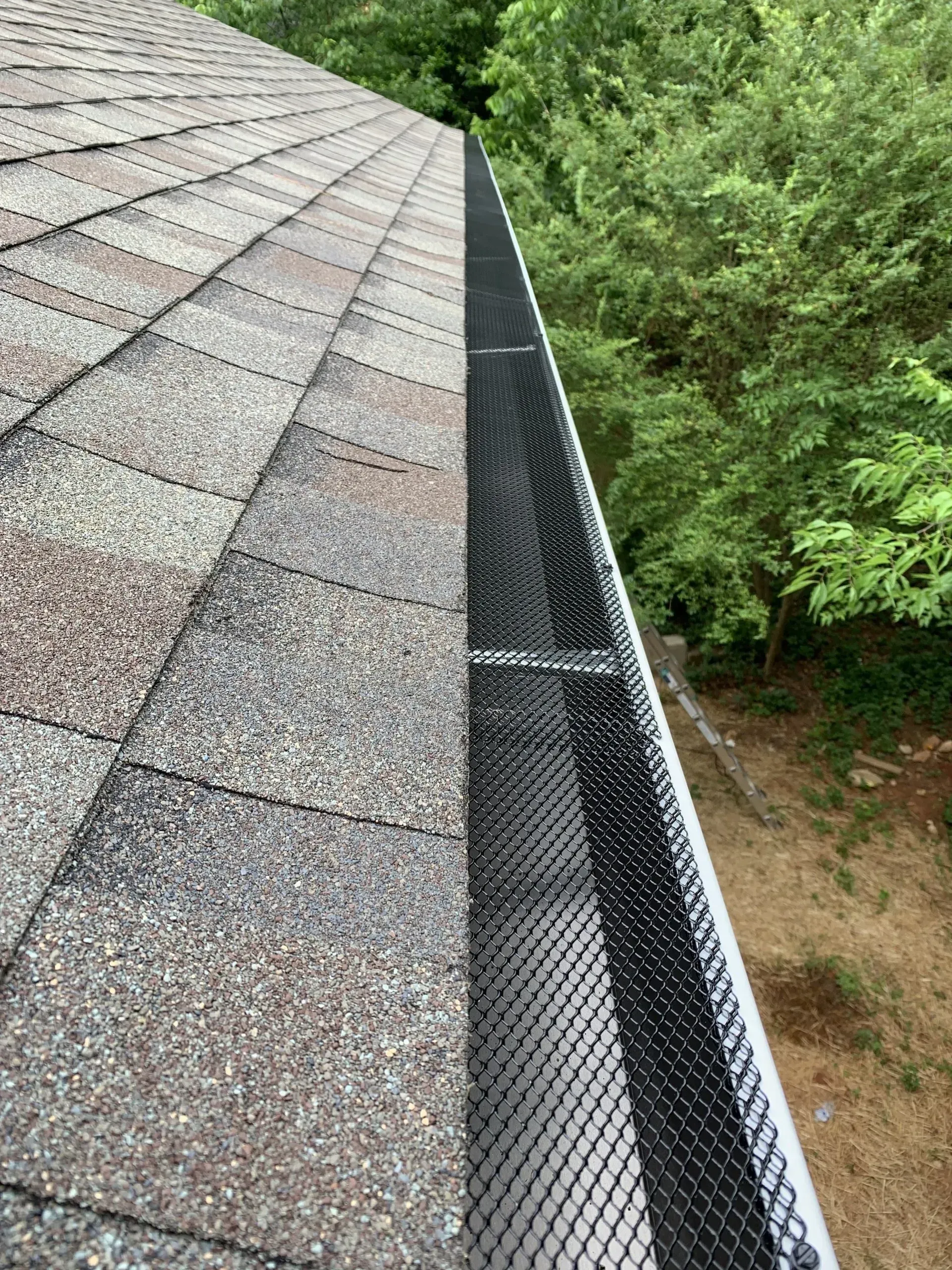 A close-up view of a roof with shingles and a black mesh gutter guard, set against a backdrop of trees.