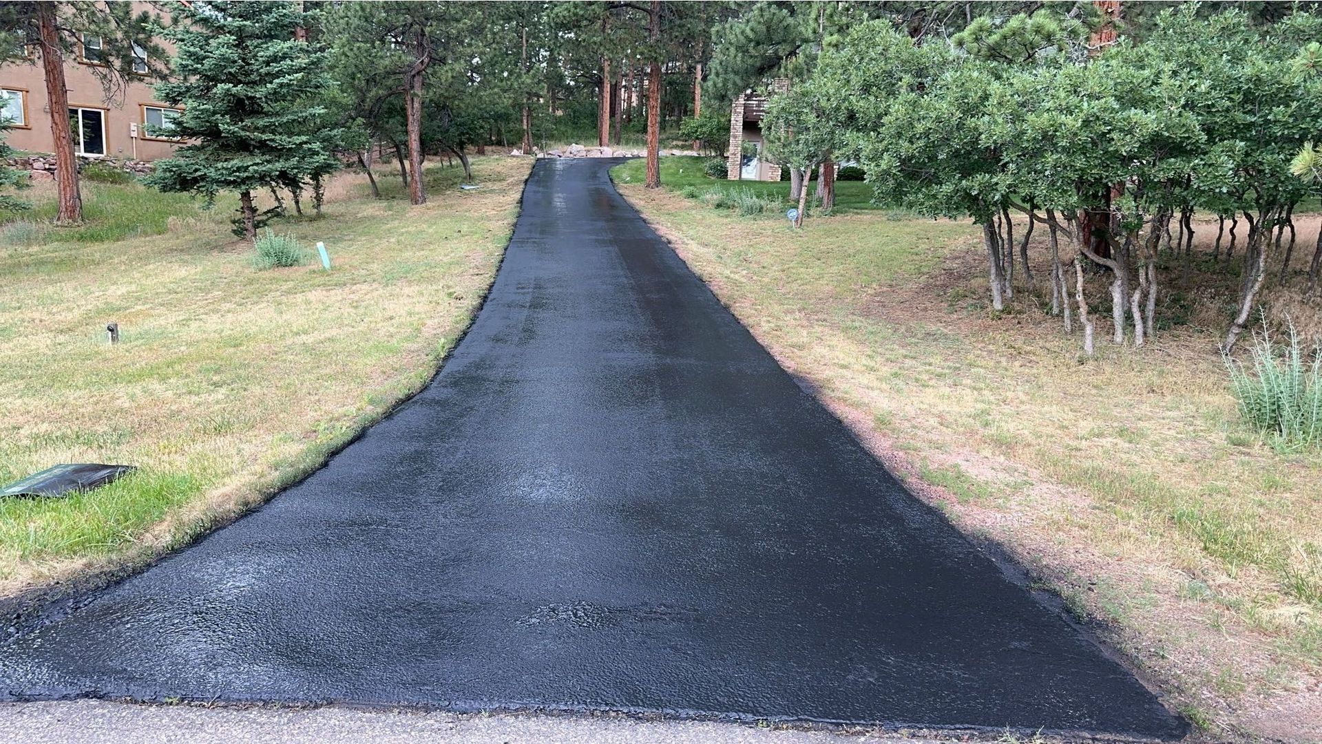 Freshly paved asphalt driveway leading into a tree-lined area.
